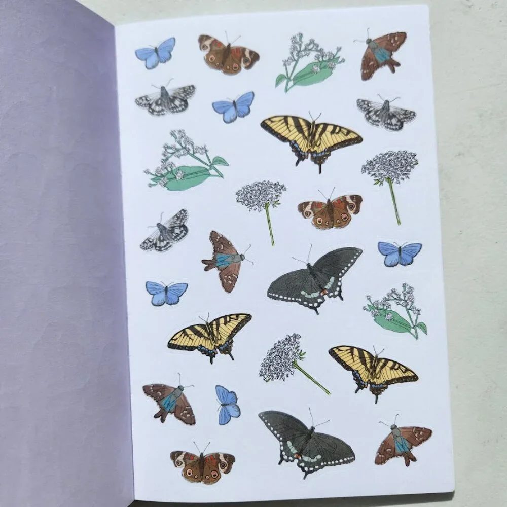 Nature Anatomy Sticker Book Julia Rothman 750 Stickers Birds Feathers Flowers